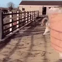 explosion emote for Discord