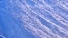 exemFaceplant emote for Discord