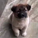 excited emote for Discord