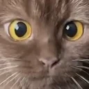 EyesDilate emote for Discord