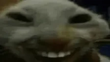 EyeOfXdd emote for Discord