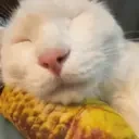 EYEINSPECTION emote for Discord