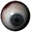 eyeball animated emote for Discord, Twitch and Slack