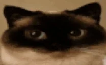 eyeroll emote for Discord