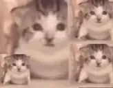 Explosions emote for Discord