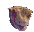 eyelick emote for Discord