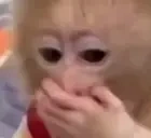 EyVay emote for Discord