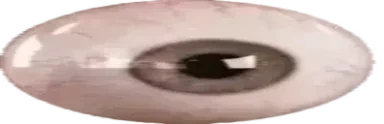 eye emote for Discord
