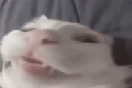 ezem emote for Discord