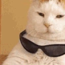 ezCat emote for Discord