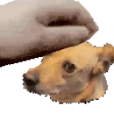 EzraPet emote for Discord