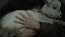 f0restGoat emote for Discord