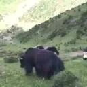 ezgif6c0d0018b50 animated emote for Discord, Twitch and Slack