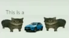 ezgif19c87eeb629 emote for Discord