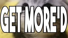 f0kqy1 emote for Discord