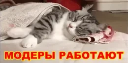 ezgif59af9180c9b emote for Discord