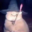 fatasswizardrose emote for Discord