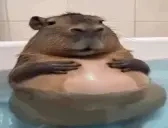 fatassbellyrub emote for Discord