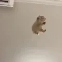 falling emote for Discord