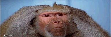 fak emote for Discord