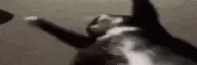 FastestJigglin emote for Discord