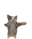 fastCat emote for Discord