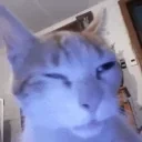 fadedthanahoe emote for Discord