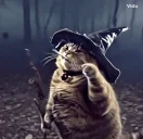 fatasswizardcatclassic emote for Discord