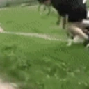 Faceplant emote for Discord