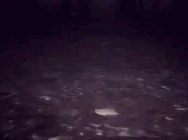 fatasswizardcastsarrive emote for Discord