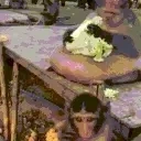 fatmonkeyeatinglettucesittin emote for Discord