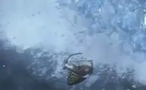 Fallge emote for Discord