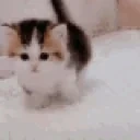 fallen emote for Discord