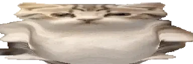 fatfatwideeiiatfPls emote for Discord