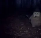 fatasswizardArrive emote for Discord