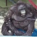 FaintBruh emote for Discord