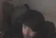 FASTsumSmash emote for Discord