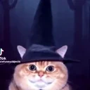 fatasswizardflower emote for Discord