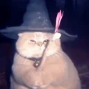 fatasswizardholdsrose emote for Discord