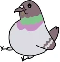 FatPigeon emote for Discord