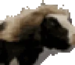 fabio emote for Discord