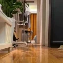 FASTCATARRIVE emote for Discord