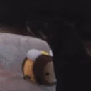 FalcoLeftTheChat emote for Discord