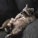 FatRat emote for Discord