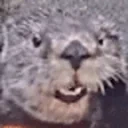 FaceRub emote for Discord