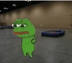 fanfest emote for Discord