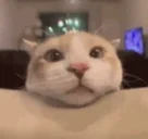 fascinating emote for Discord