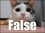 False emote for Discord