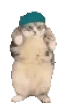 FatCat emote for Discord