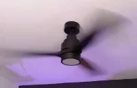 fancam emote for Discord